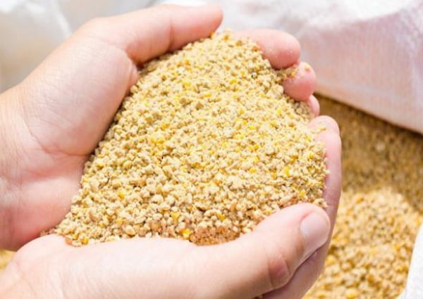 تصویر 3 از قیمت مکمل غذایی طیور با کیفیت ارزان + خرید عمده